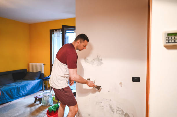 Best Home Mold Removal  in Marsing, ID